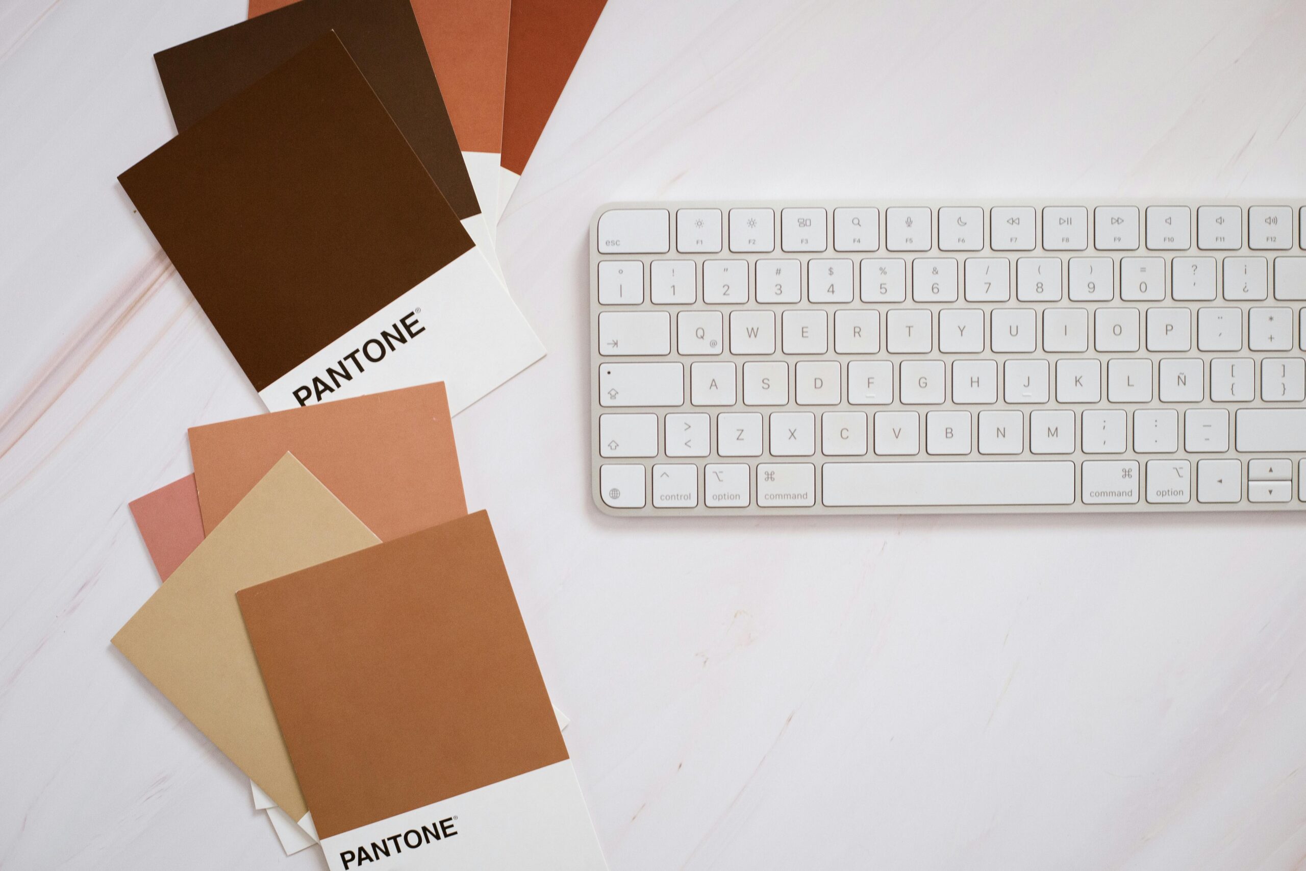 Color Psychology in Your Branding